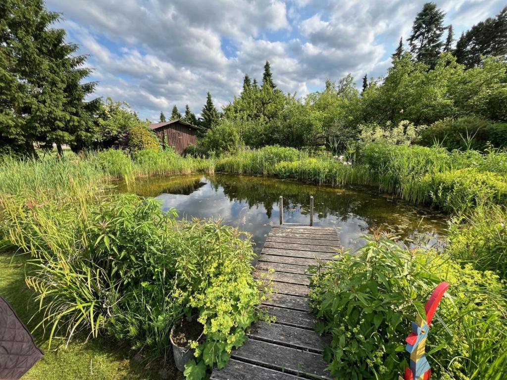 Steg in den Schwimmteich