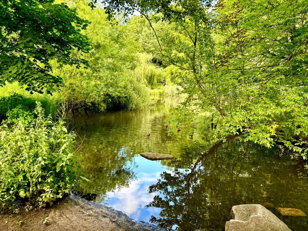 Moorteichwiese Ansicht II