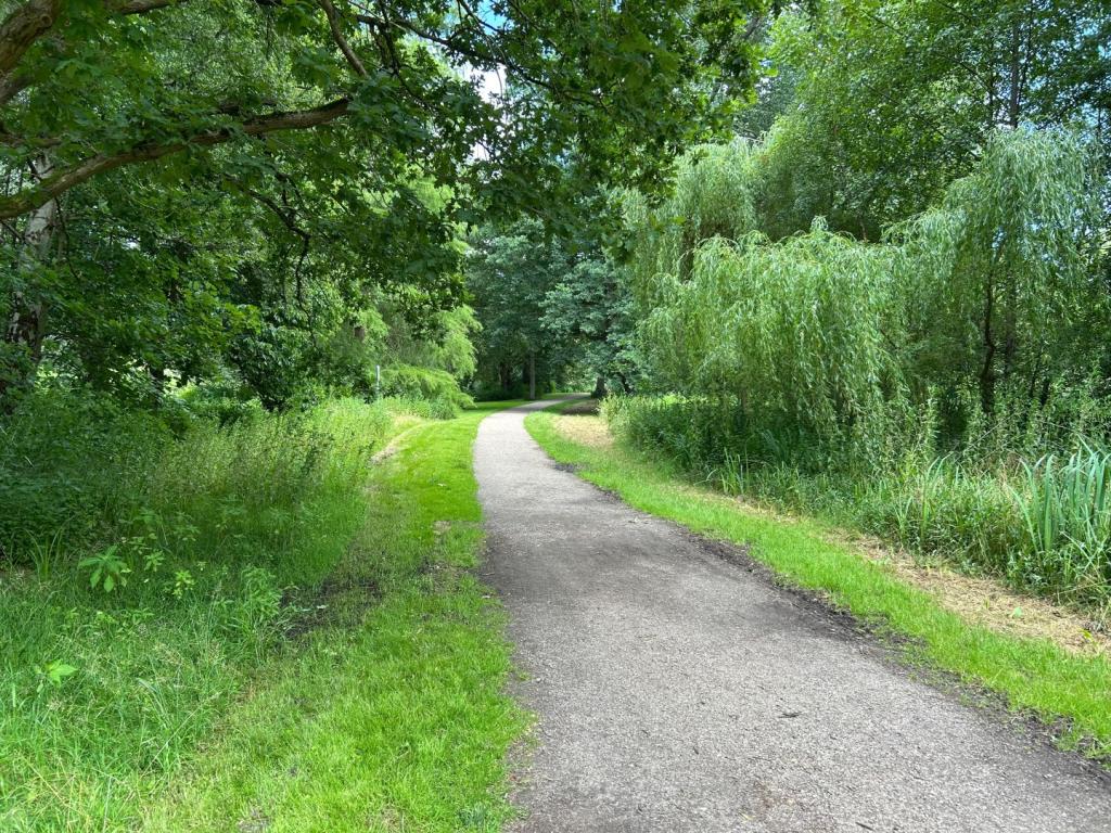 Moorteichwiese Ansicht III