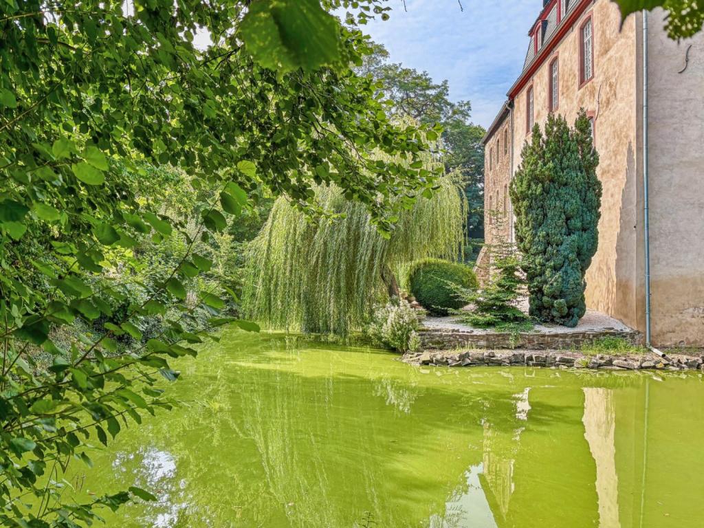 Burgteich