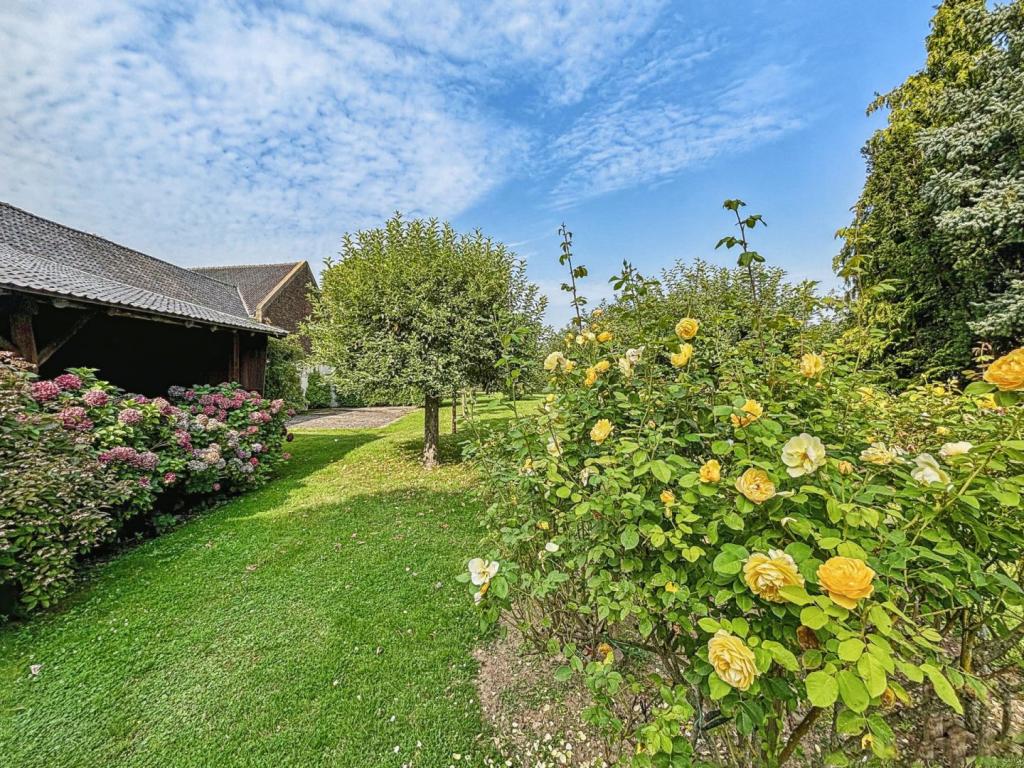 Garten Hofseite