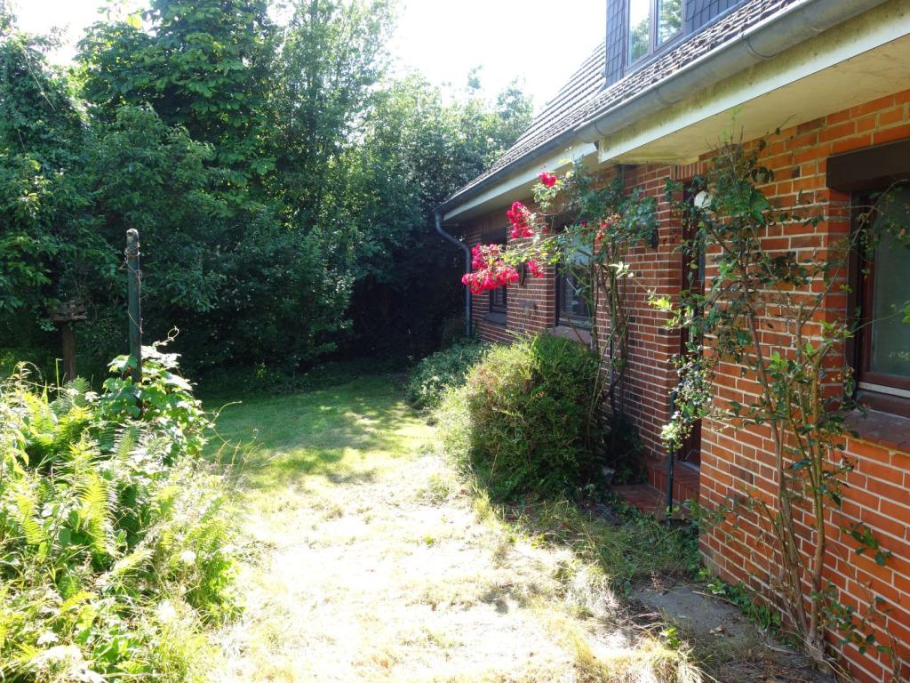 Rückseite
