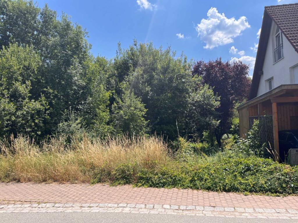 Blick ins Grundstück 