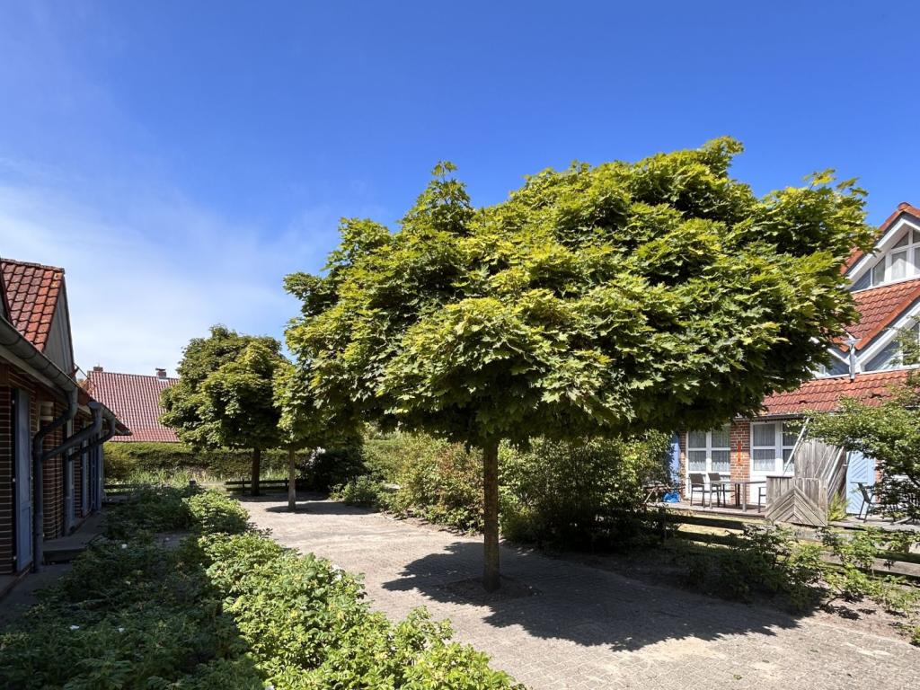 Weg hinterm Haus