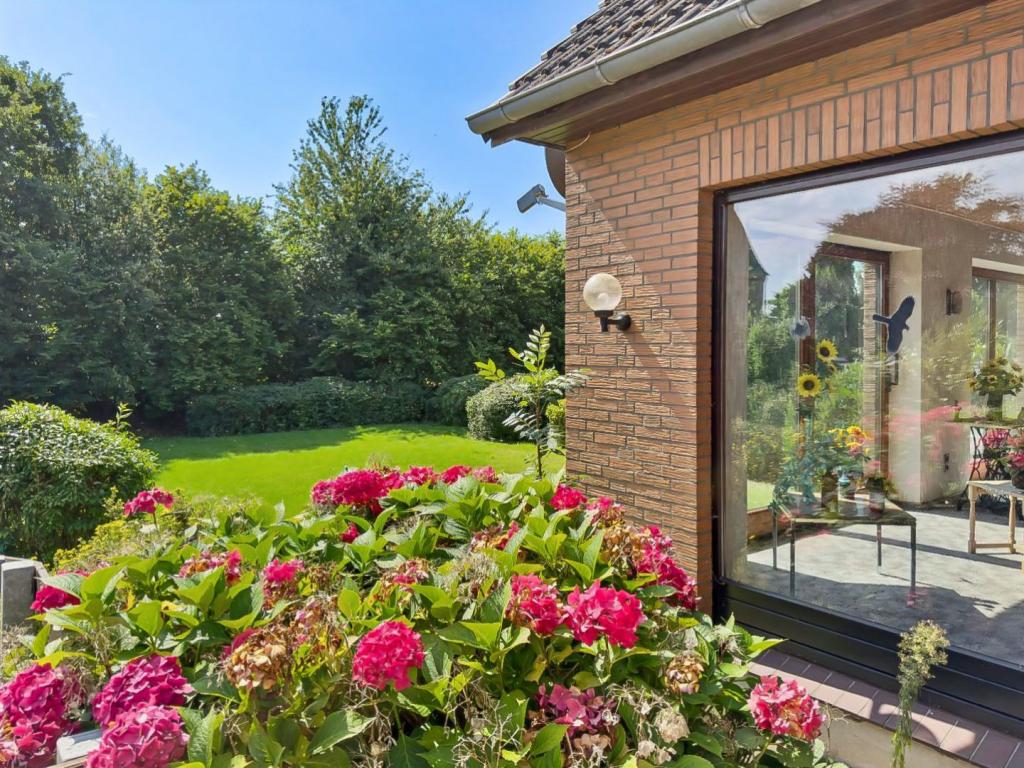 Blick in den Garten