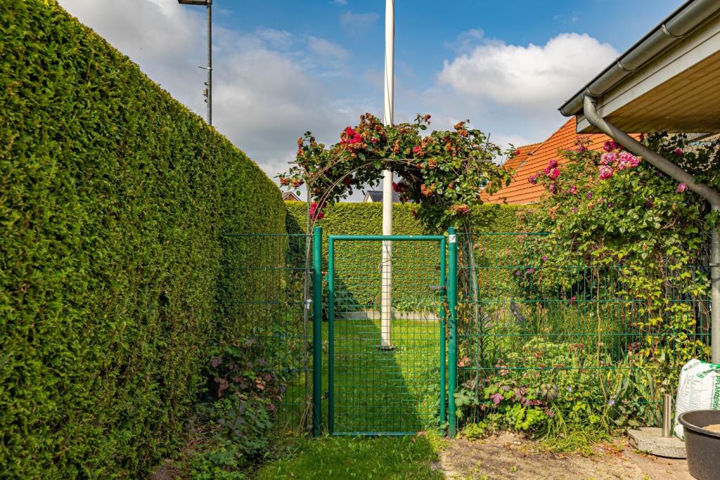 Garten_1