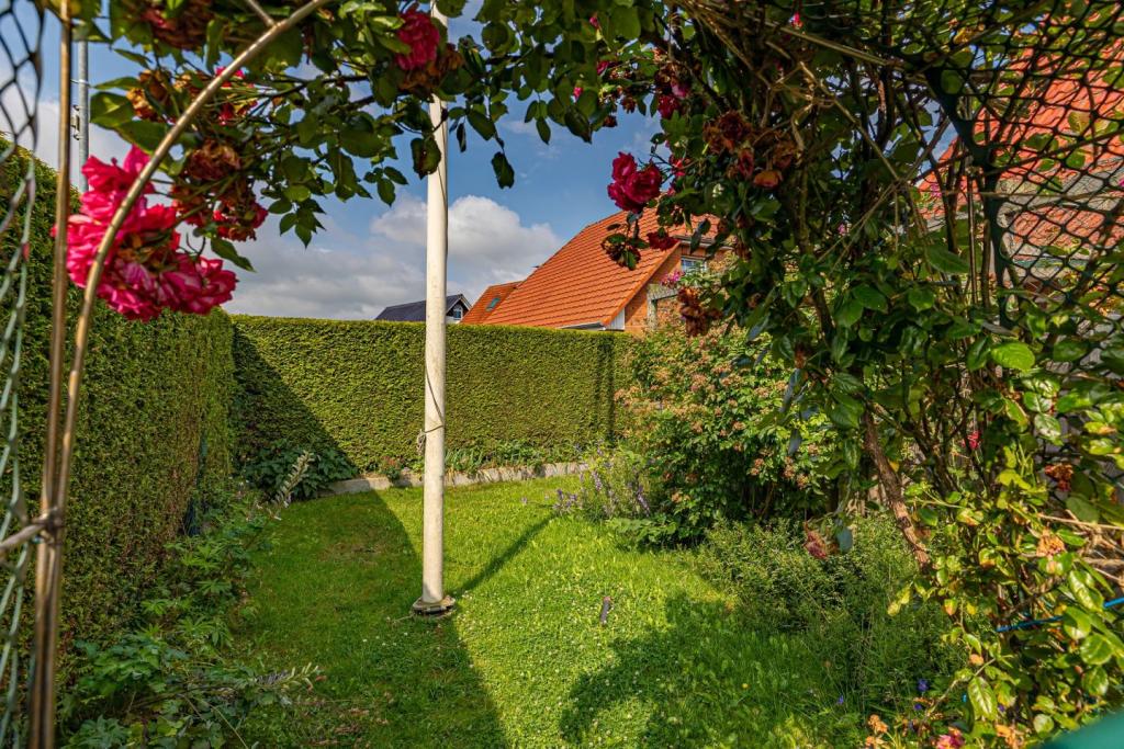 Garten_2
