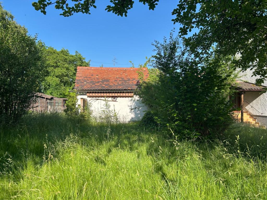 Hauptbild
