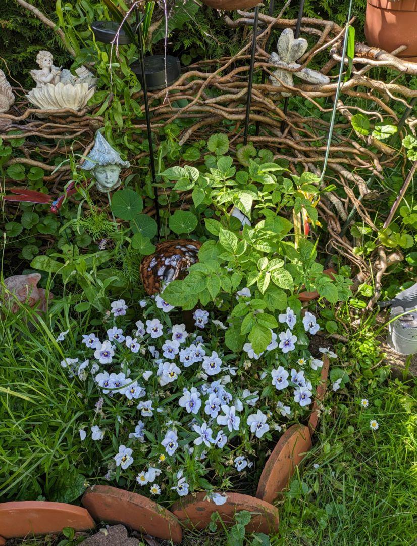 Blumen 2
