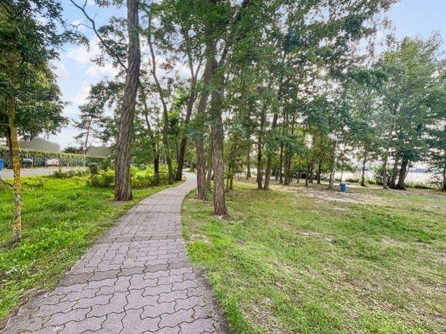 Waldweg am See