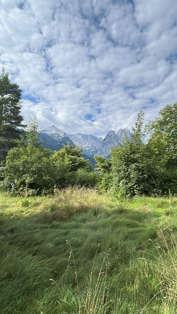Blick aus dem Garten