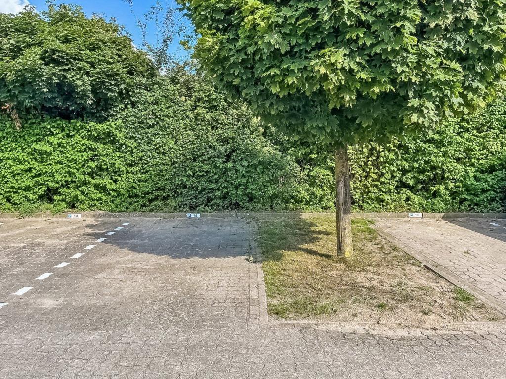 Stellplatz