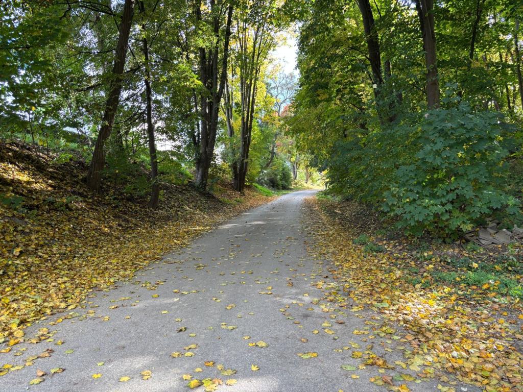 Allee zum Grundstück