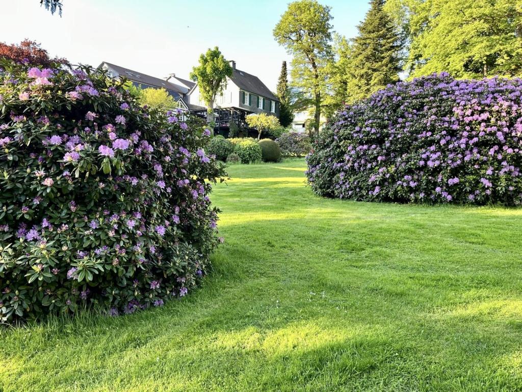 Garten im Sommer