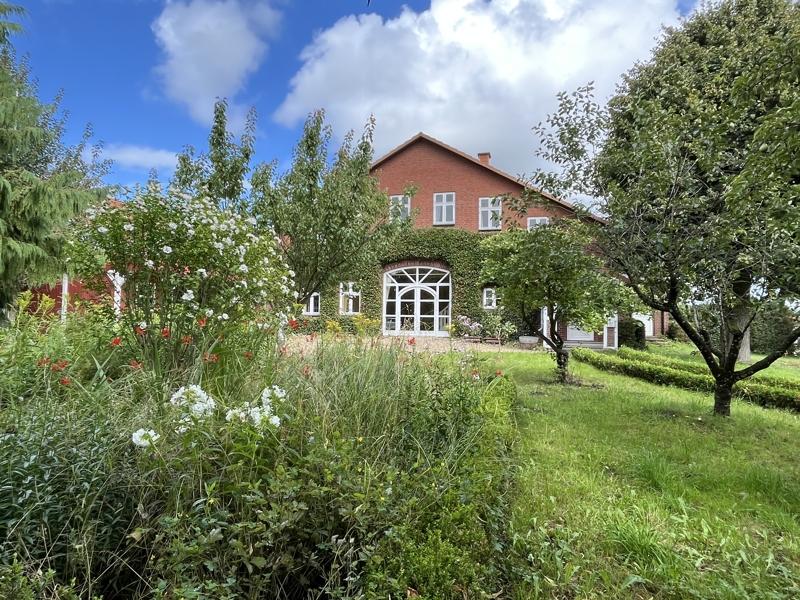 Garten und Haus im Hintergrund