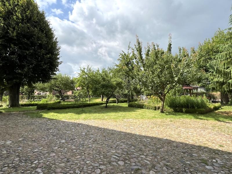 Garten/Baugrundstück