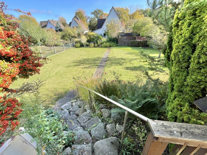 Blick in den Garten