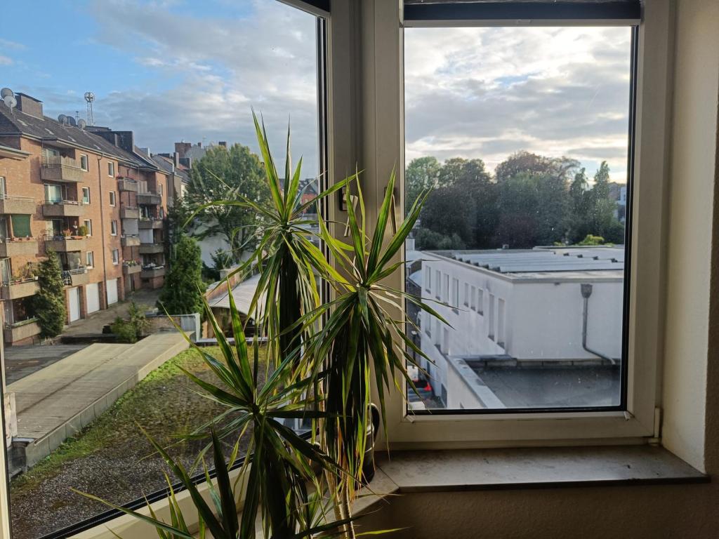 Schöne 2 Zi.-Wohnung sucht netten Mieter für eine gemeinsame Zukunft im Zentrum von Aachen - Photo 4
