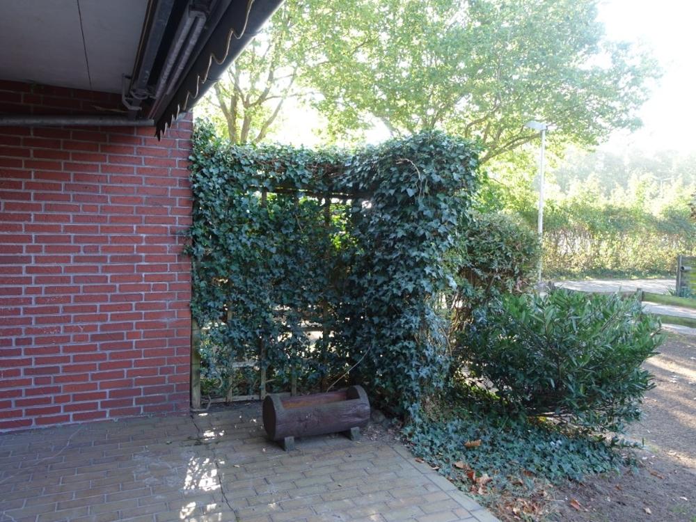 Terrasse mit Markise