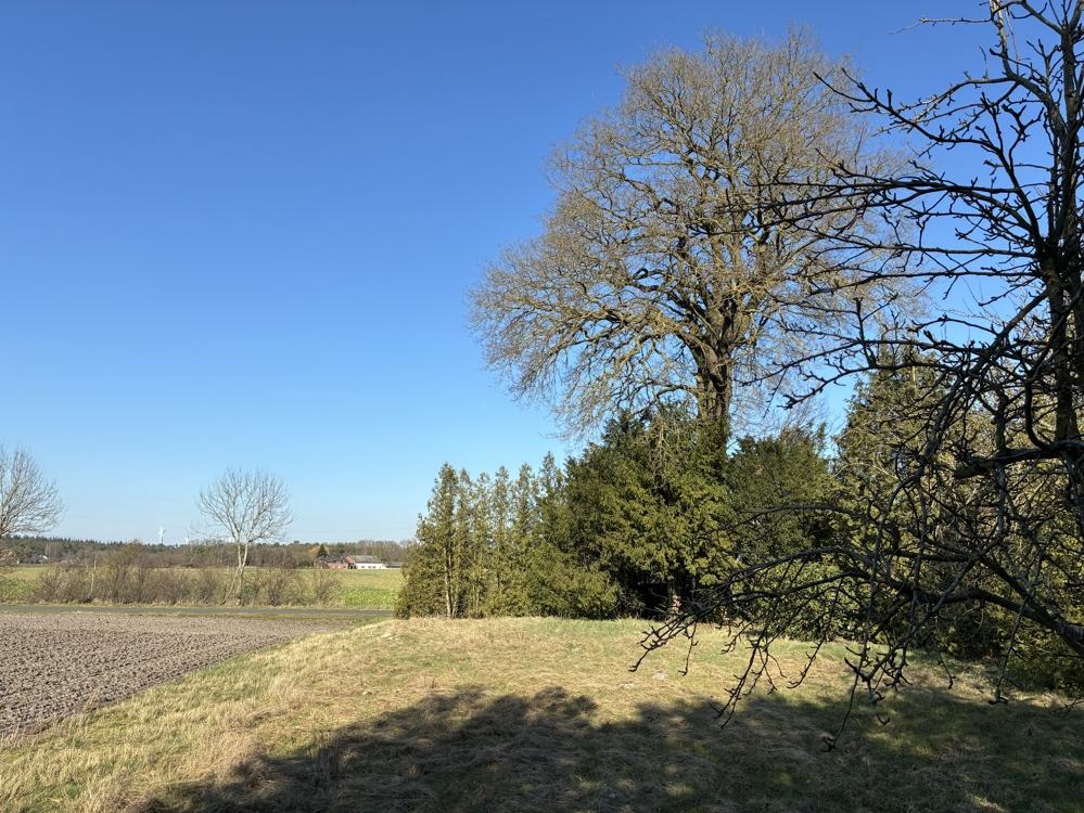 Immobilie in Wagenfeld -  - Bild 4