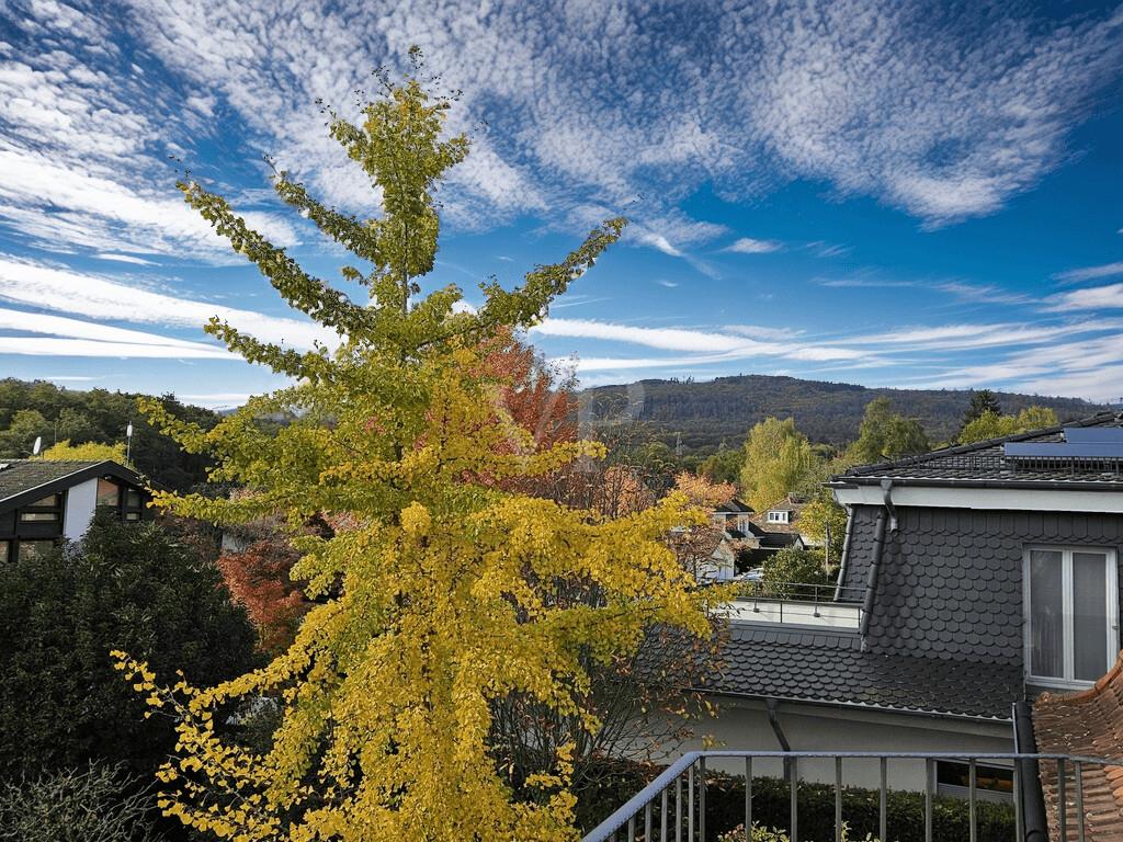 VON POLL - BAD HOMBURG: Charmante Villa mit gepflegtem Garten in ruhiger Lage in Bad Homburg - Photo 3