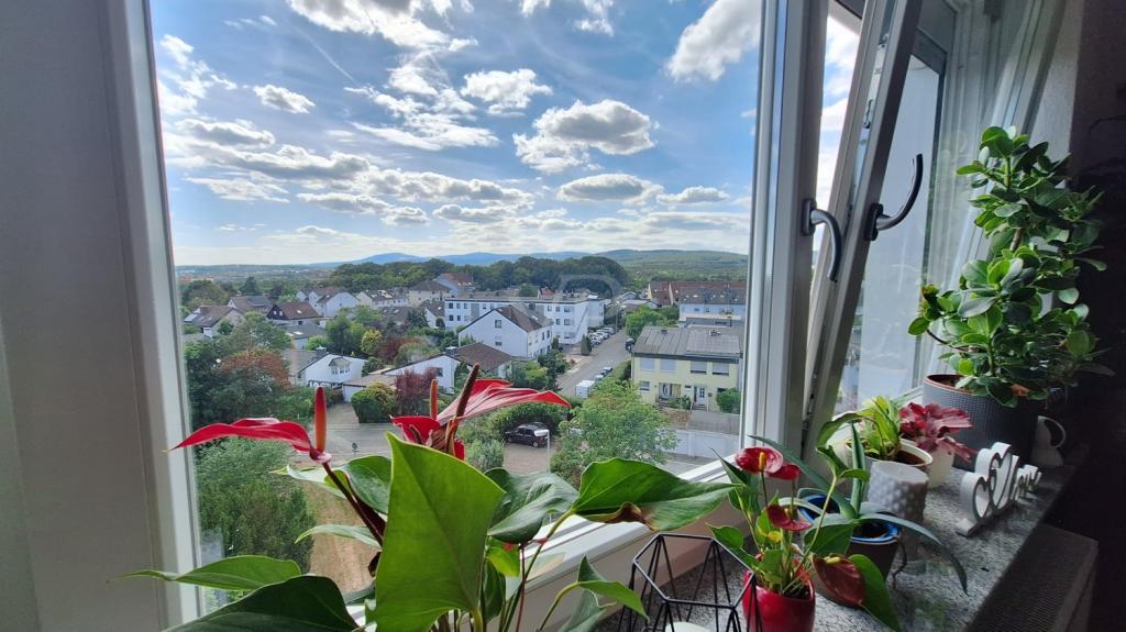 Blick aus dem Wohnbereich