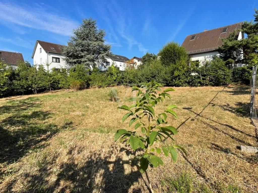 Diagonalansicht links vorne