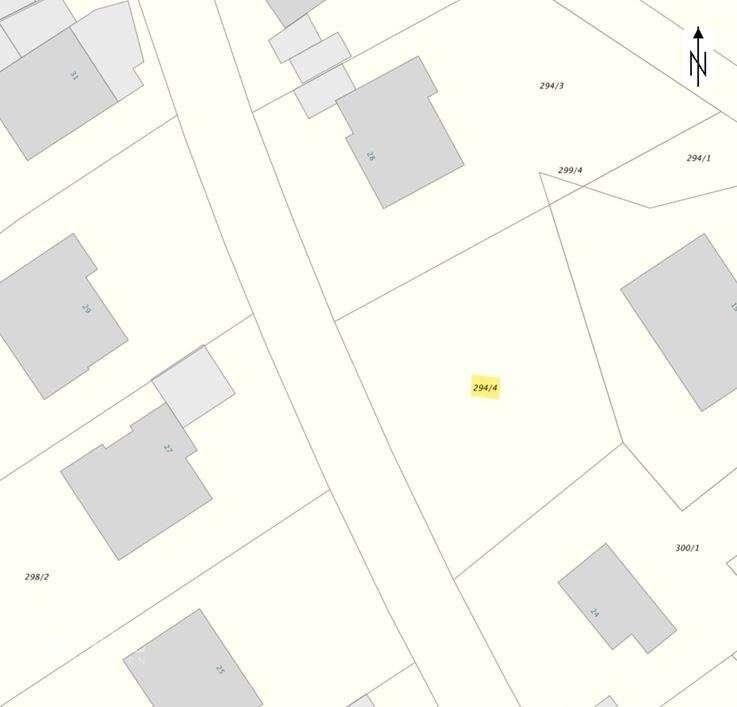 Flurkarte: 294/4