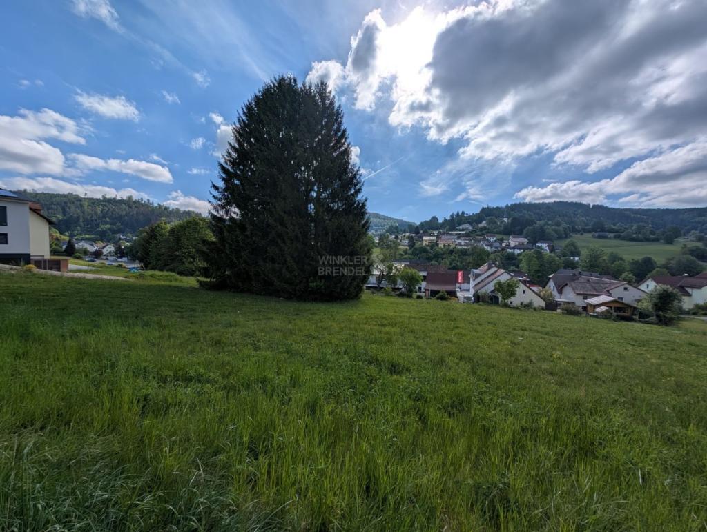 Bild 7