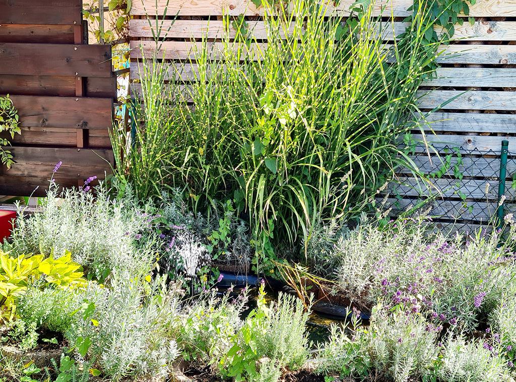 Haus in Peißenberg - Photo 3