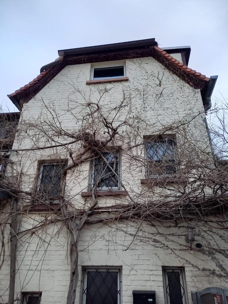 Hinterhaus