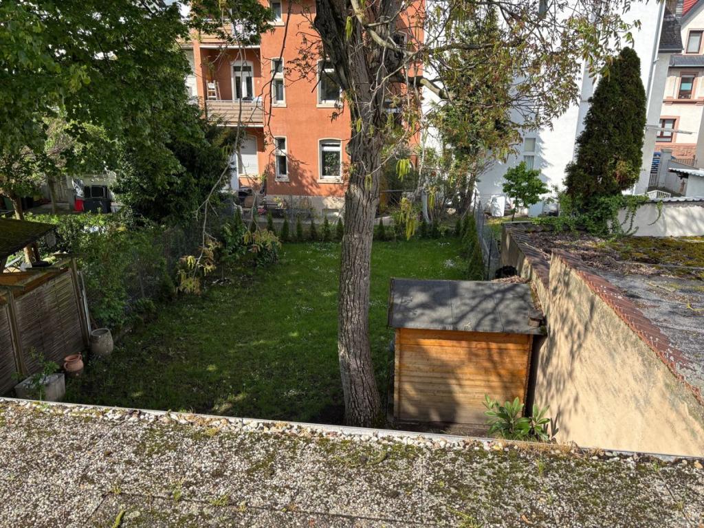 Ansicht Garten