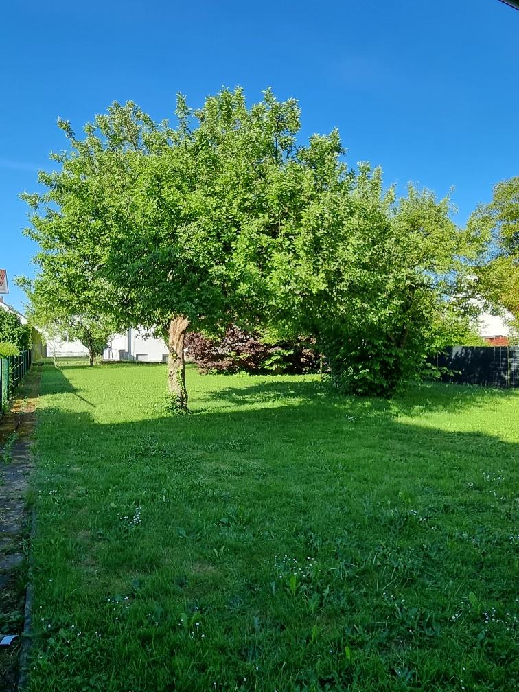 Großer Garten