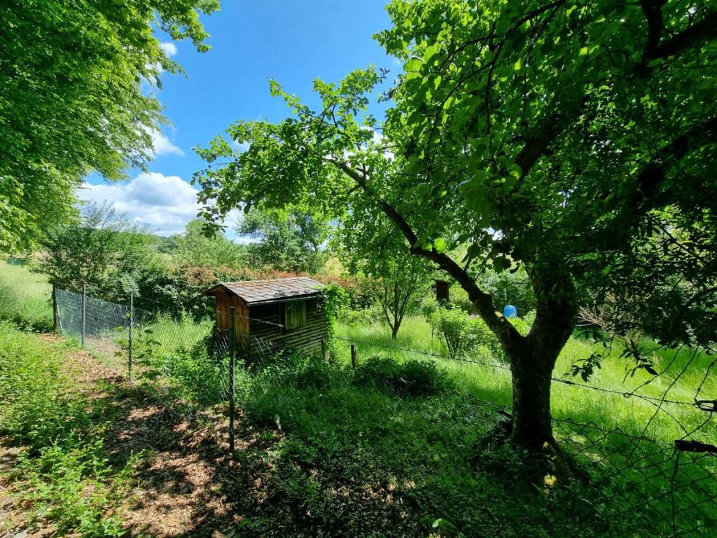 Gartengrundstück mit ca. 301m² Fläche. 