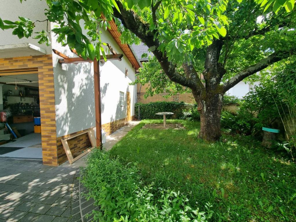 Garten am Haus