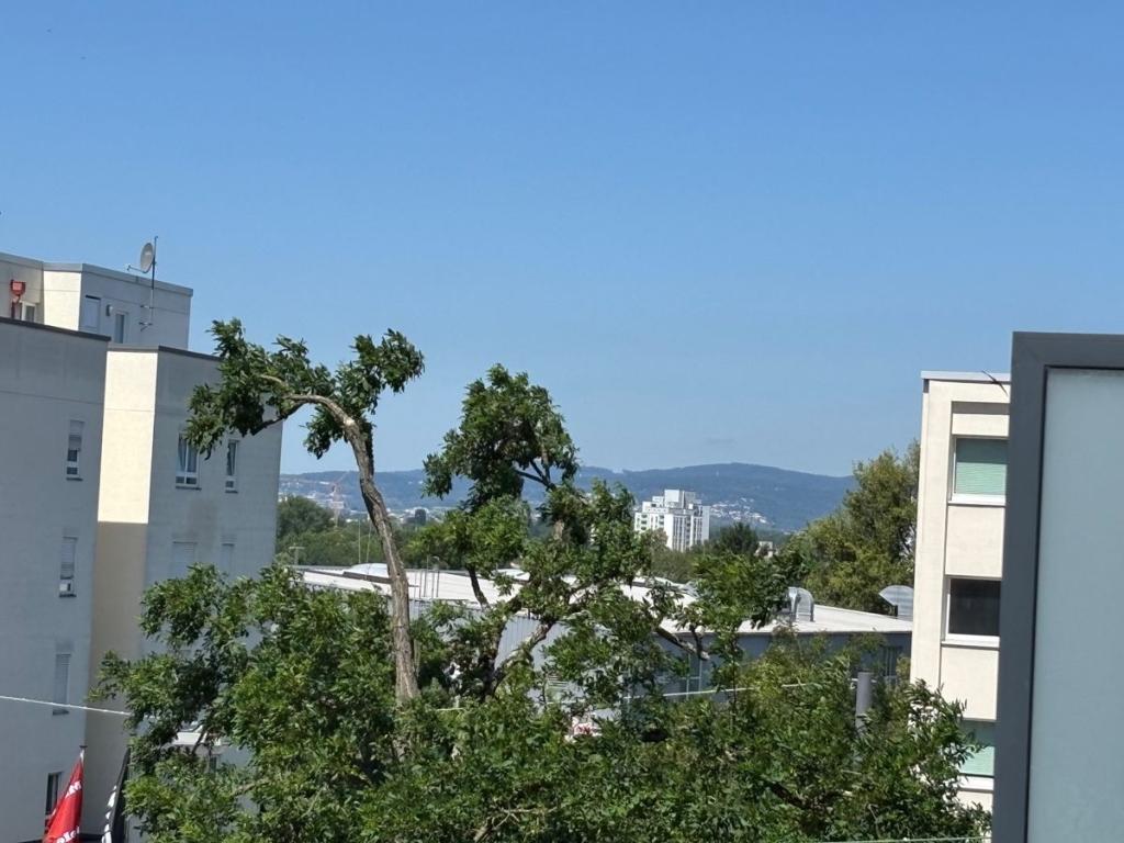 Blick in den Taunus