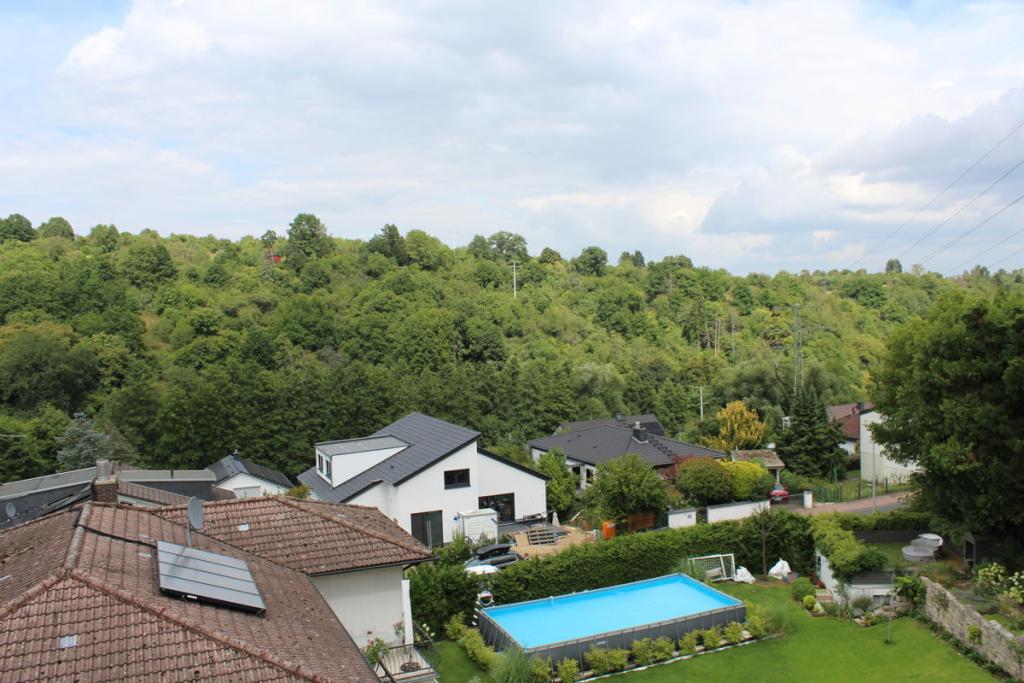 Fernblick