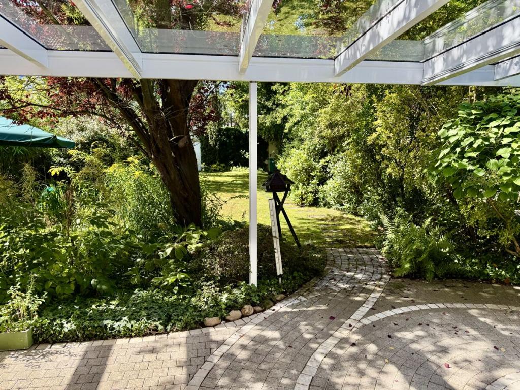Blick in den Garten