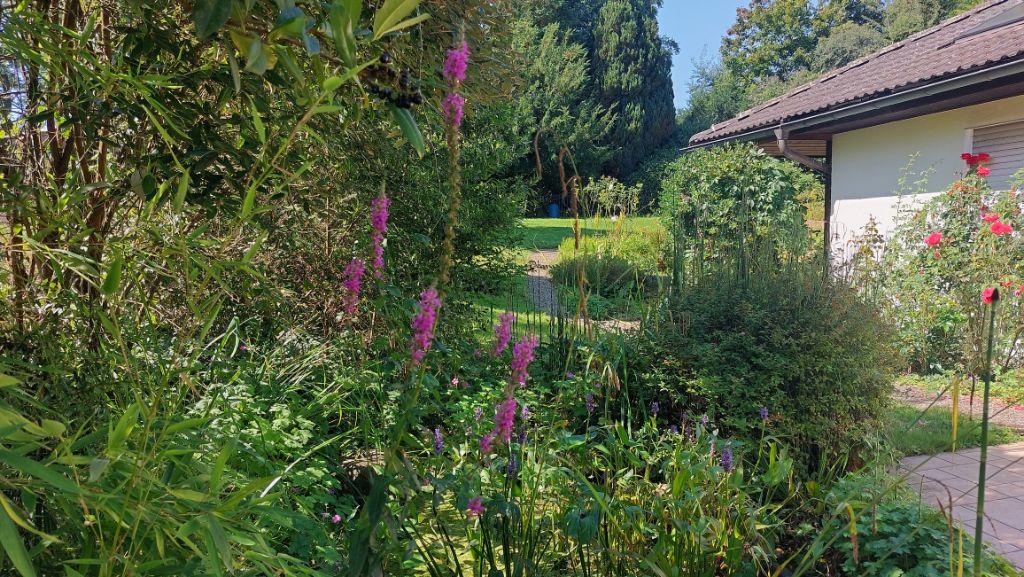 Aussenanlage Sommer