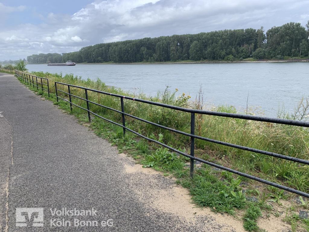 Rheinpromenade