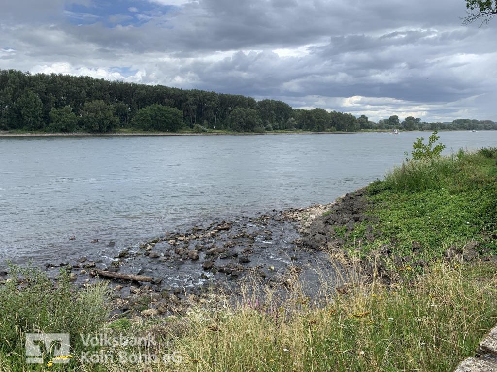 Rheinpromenade