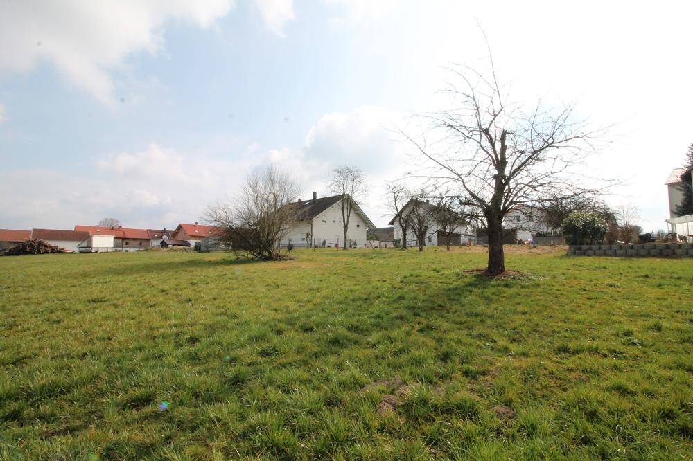 Ansicht 4
