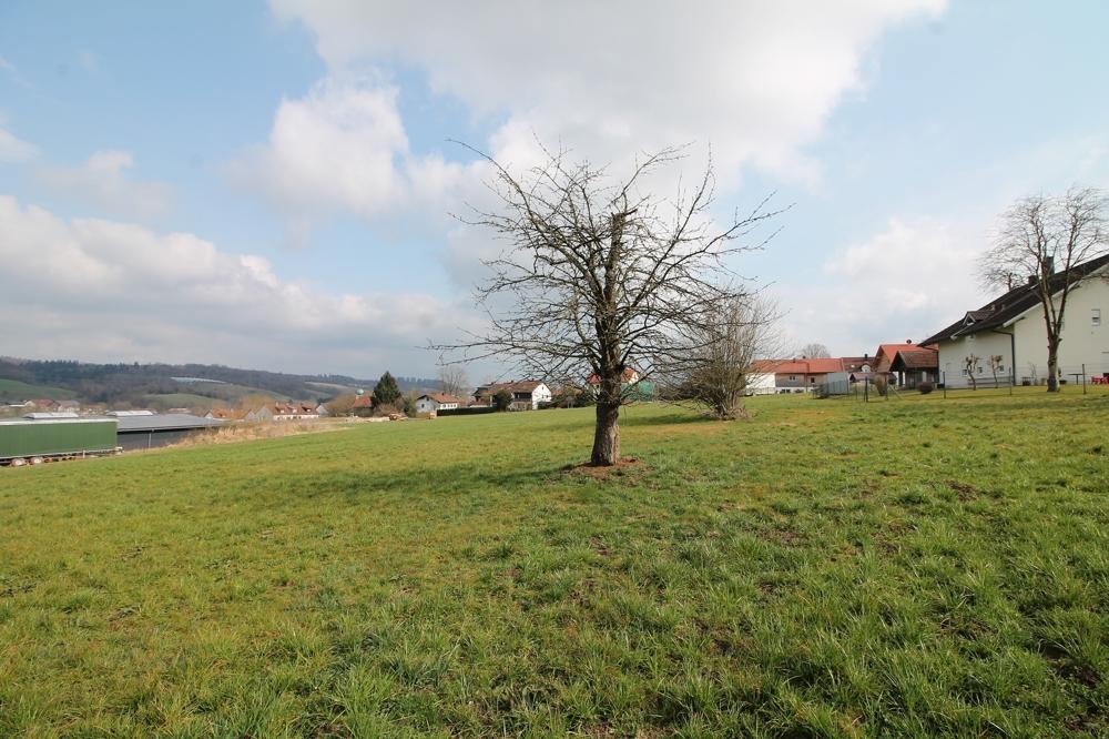 Ansicht 5