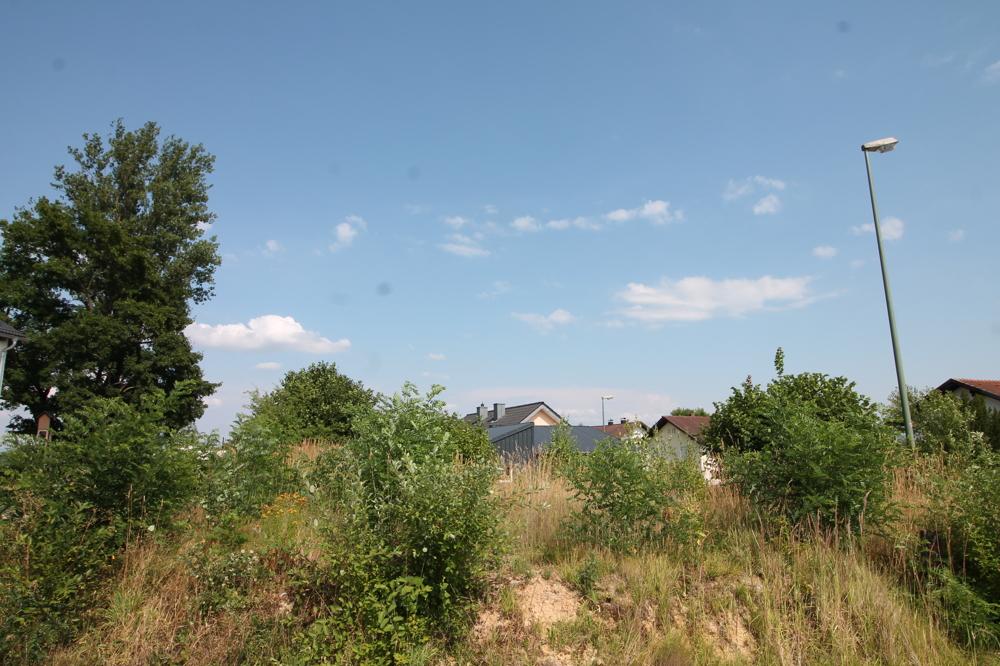 Ansicht (3)