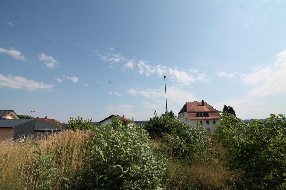 Ansicht (1)