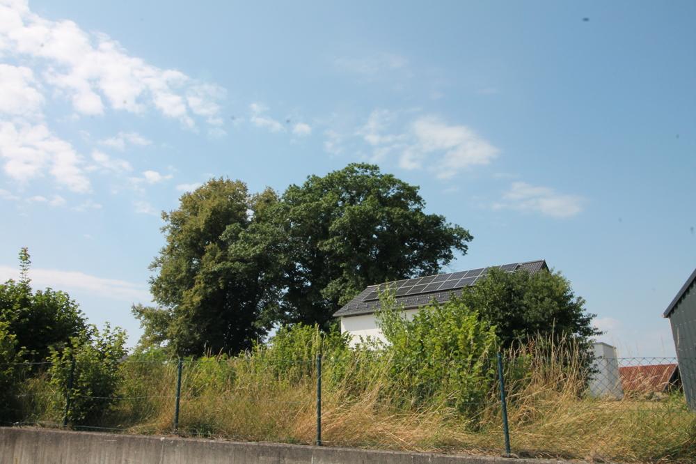 Ansicht (4)