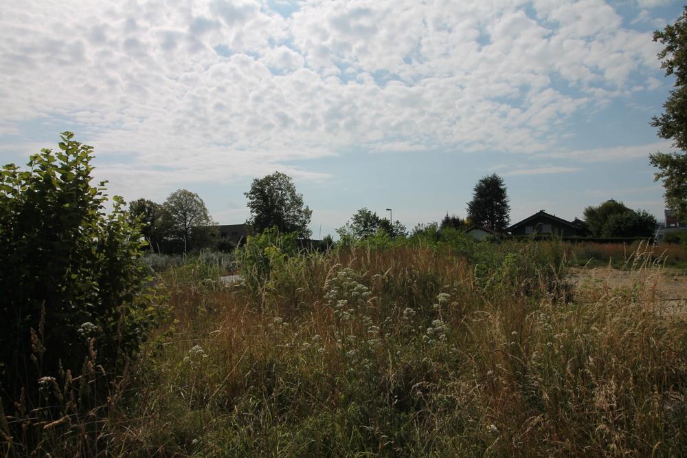 Ansicht (2)