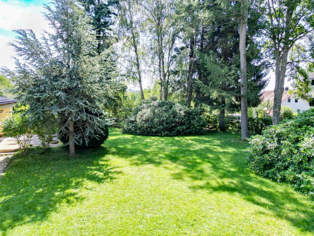 Garten 2