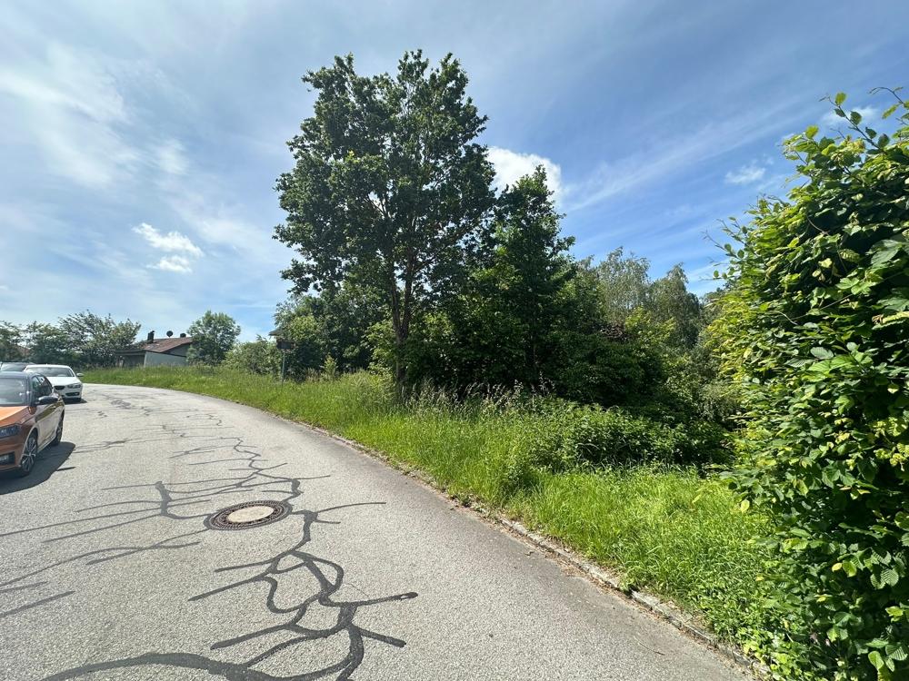 Ansicht (6)