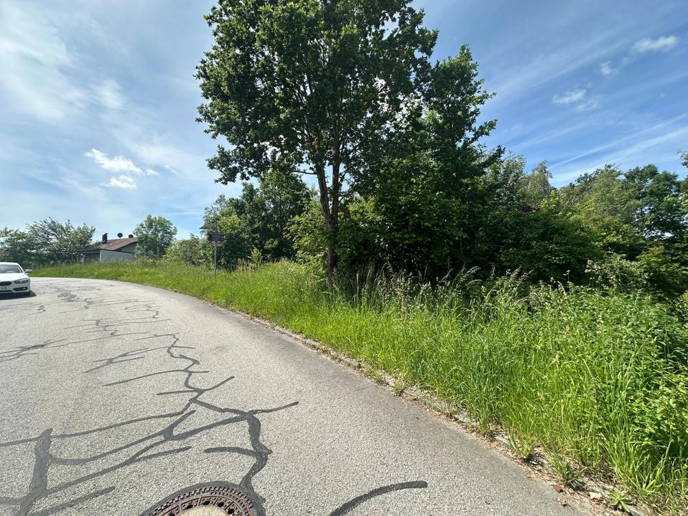 Ansicht (5)